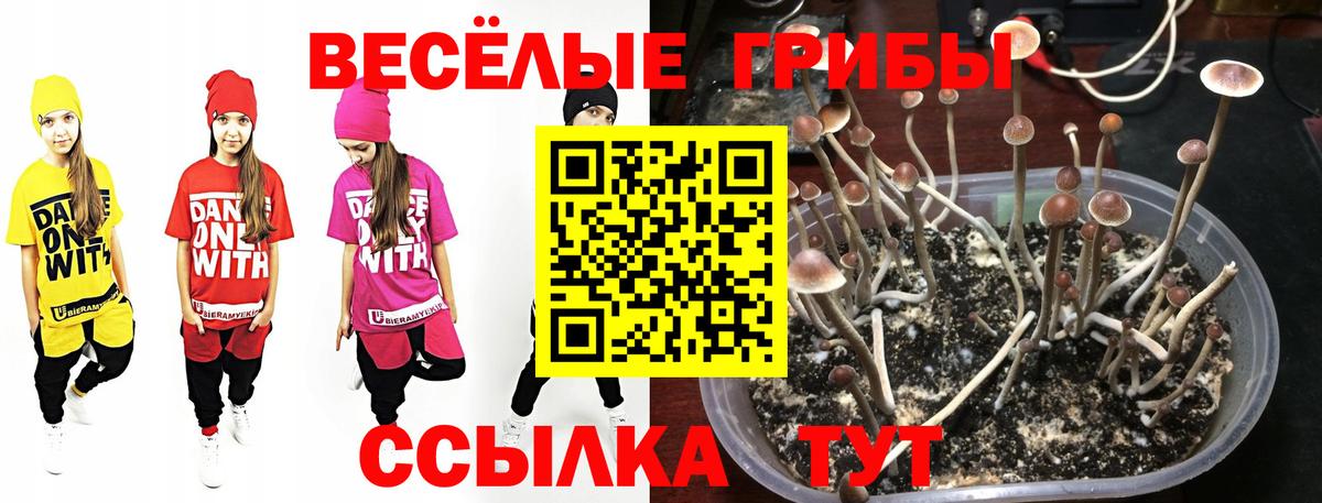 Псилоцибиновые грибы прущие грибы  цены   Ухта  Вход с VPN 