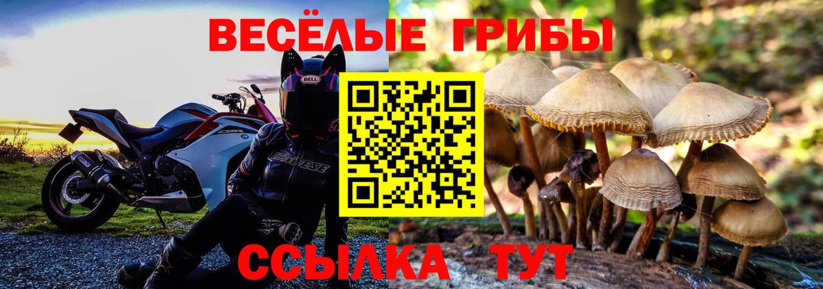 Галлюциногенные грибы MAGIC MUSHROOMS Ухта